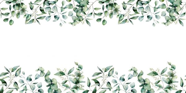 PHOTOWALL / Eucalyptus (e318413)