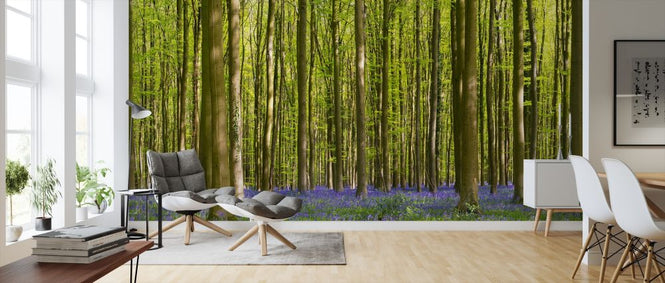 PHOTOWALL / Bluebell Forest (e318497)