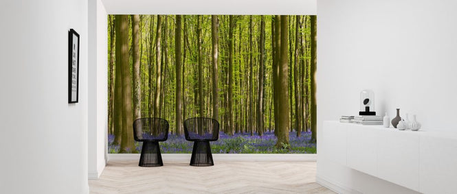 PHOTOWALL / Bluebell Forest (e318497)