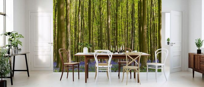 PHOTOWALL / Bluebell Forest (e318497)