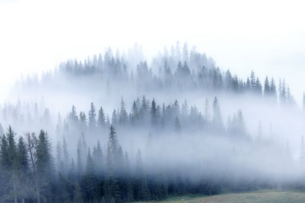 PHOTOWALL / Kanas Morning Fog (e318508)