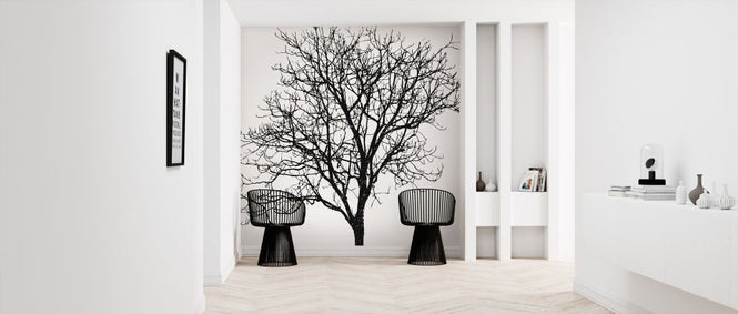 PHOTOWALL / Black Birch (e320678)