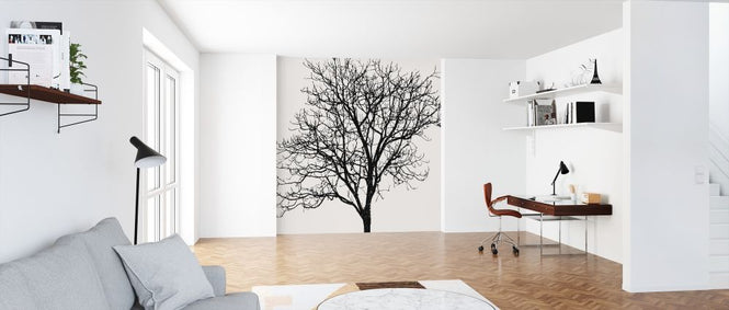 PHOTOWALL / Black Birch (e320678)