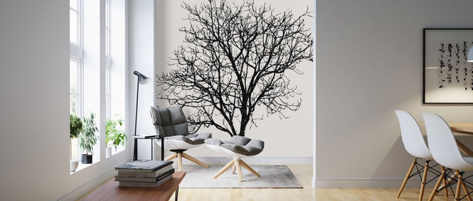 PHOTOWALL / Black Birch (e320678)