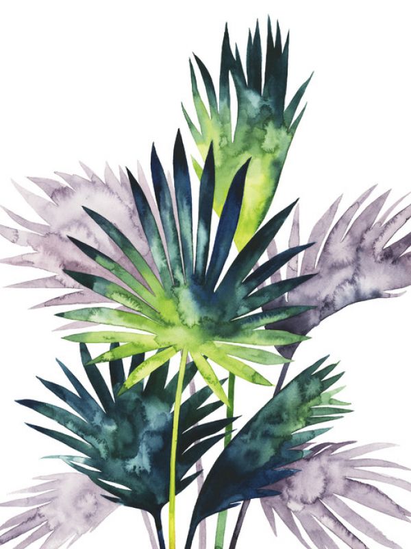 PHOTOWALL / Twilight Palms III (e320339)