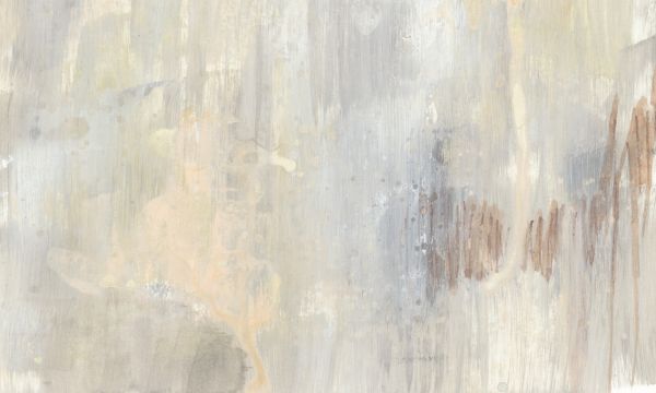 PHOTOWALL / Barely Blush II (e320370)