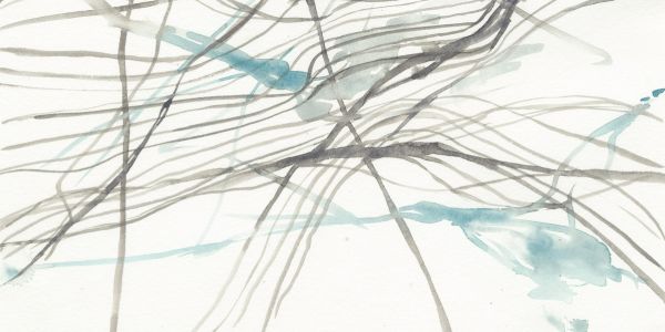 PHOTOWALL / Tendrils (e320424)