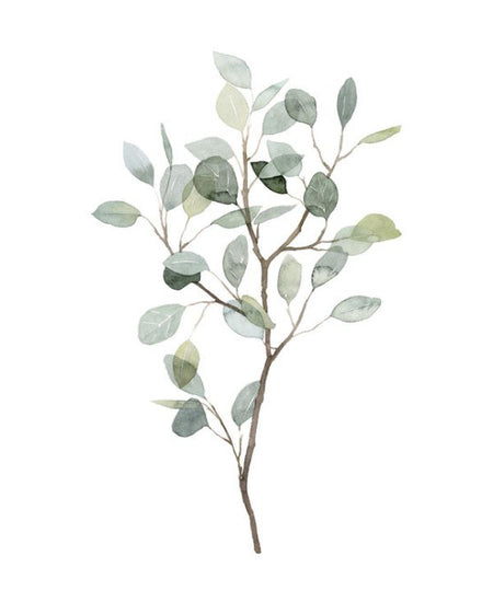 PHOTOWALL / Seaglass Eucalyptus (e320524)