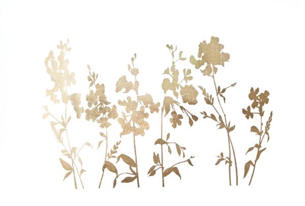 PHOTOWALL / Flower Field (e320578)