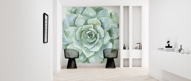 PHOTOWALL / Verdant Succulent (e320593)