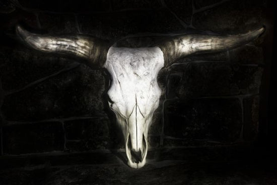 PHOTOWALL / Cow Skull (e320608)