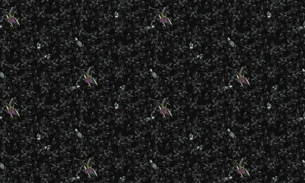 PHOTOWALL / Hummingbirds (e320821)