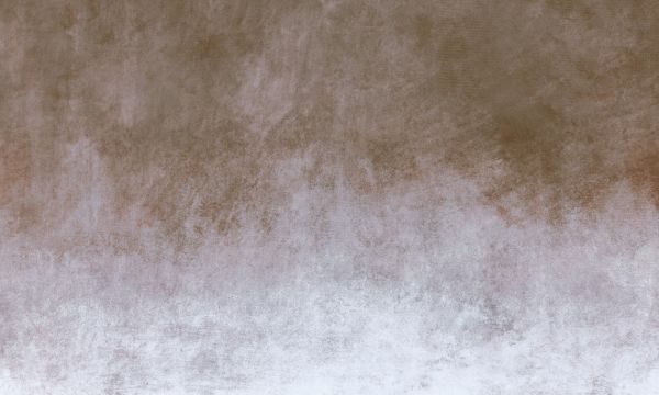 PHOTOWALL / Grunge Hazel Wall (e320840)