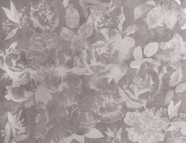 PHOTOWALL / Flowers and Concrete - Blushing (e320886)