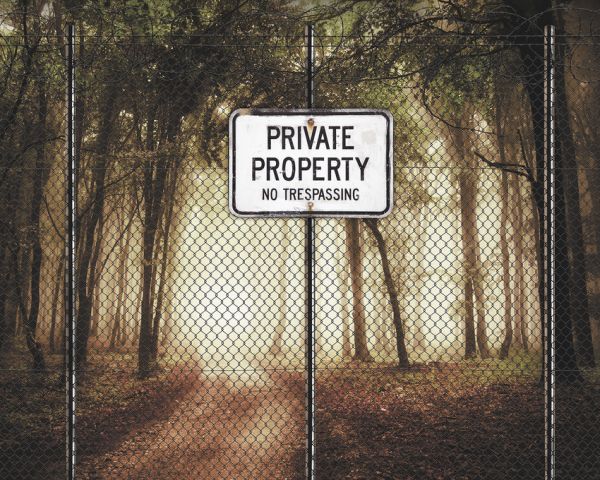 PHOTOWALL / Privat Property (e320897)