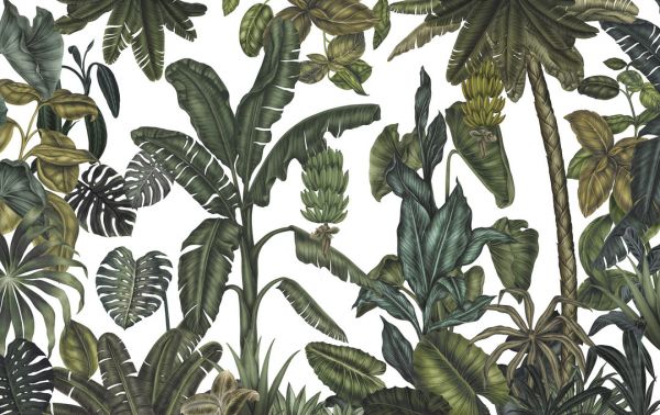 PHOTOWALL / Jungle Leaves (e320915)