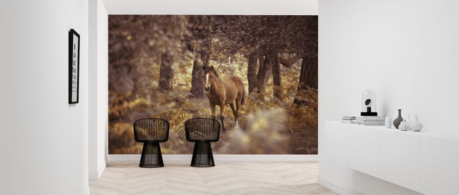 PHOTOWALL / Wild Horse (e320973)