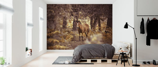 PHOTOWALL / Wild Horse (e320973)