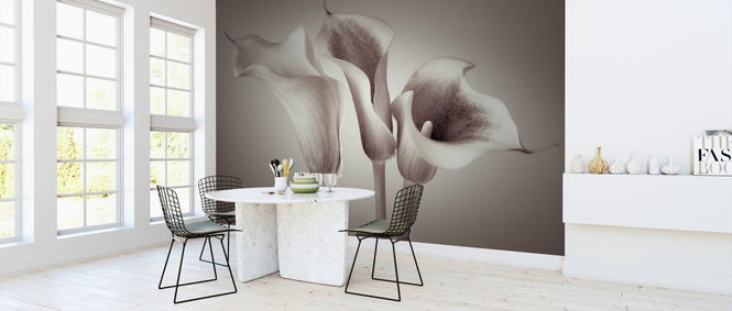PHOTOWALL / Calla Lily (e320975)
