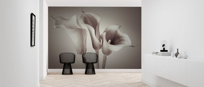 PHOTOWALL / Calla Lily (e320975)