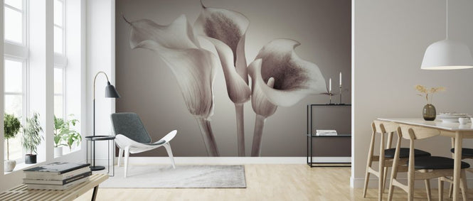 PHOTOWALL / Calla Lily (e320975)