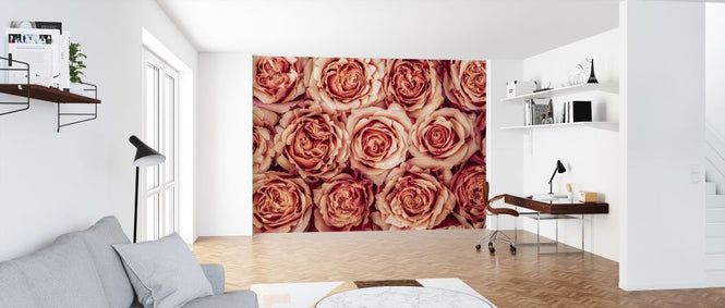 PHOTOWALL / Roses (e320980)