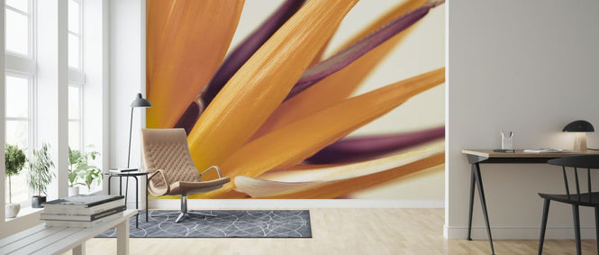 PHOTOWALL / Heliconia (e320981)