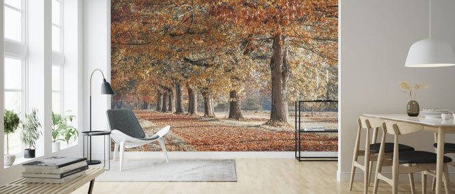 PHOTOWALL / Autumn Pathway - Ruby (e320988)