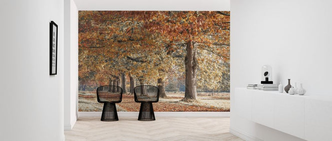 PHOTOWALL / Autumn Pathway - Ruby (e320988)