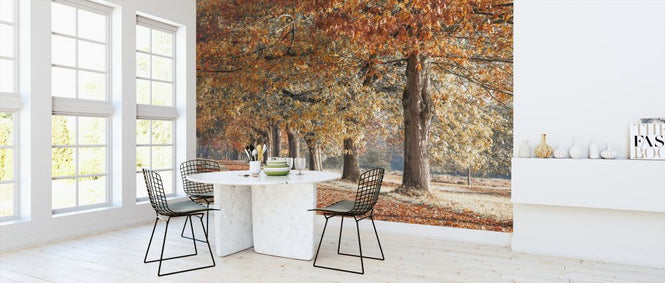 PHOTOWALL / Autumn Pathway - Ruby (e320988)