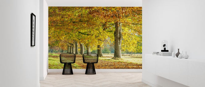 PHOTOWALL / Autumn Pathway - Yelllow (e320989)