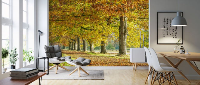 PHOTOWALL / Autumn Pathway - Yelllow (e320989)