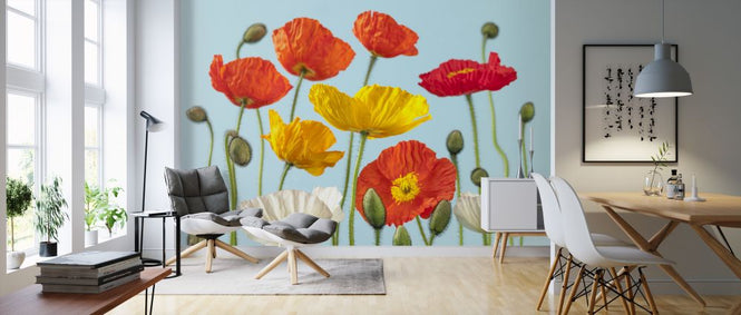 PHOTOWALL / Poppies - Colorful (e321009)