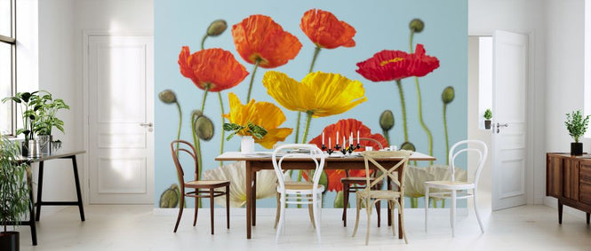 PHOTOWALL / Poppies - Colorful (e321009)