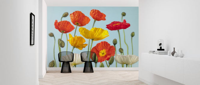 PHOTOWALL / Poppies - Colorful (e321009)