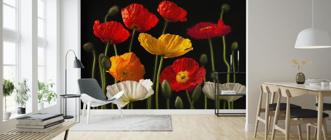 PHOTOWALL / Poppies - Dark (e321010)