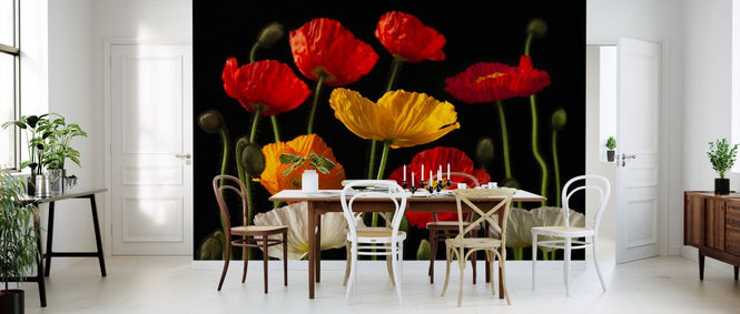 PHOTOWALL / Poppies - Dark (e321010)
