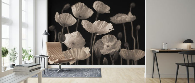 PHOTOWALL / Poppies - Sepia (e321011)