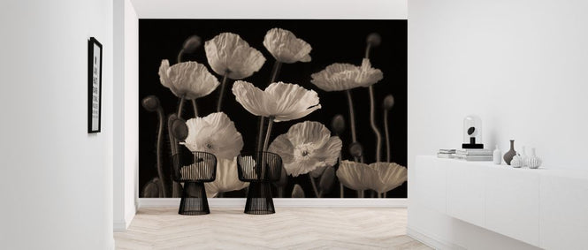 PHOTOWALL / Poppies - Sepia (e321011)
