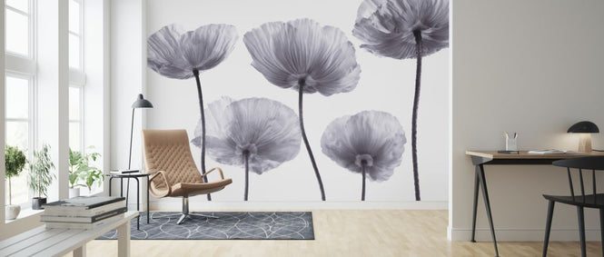 PHOTOWALL / Poppies - Bright (e321012)