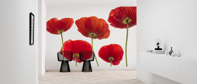 PHOTOWALL / Poppies - Red (e321013)