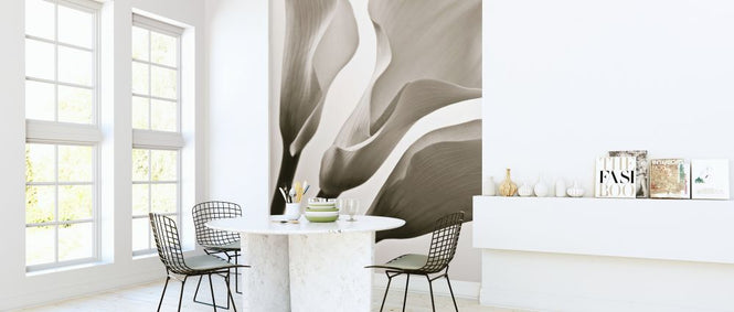 PHOTOWALL / Calla Lilies (e321014)