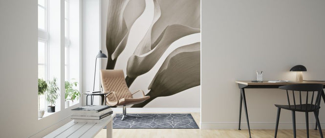 PHOTOWALL / Calla Lilies (e321014)