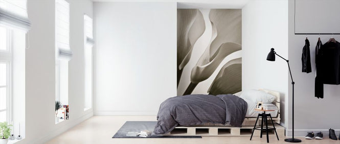 PHOTOWALL / Calla Lilies (e321014)