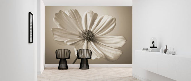 PHOTOWALL / Cosmos Right (e321016)