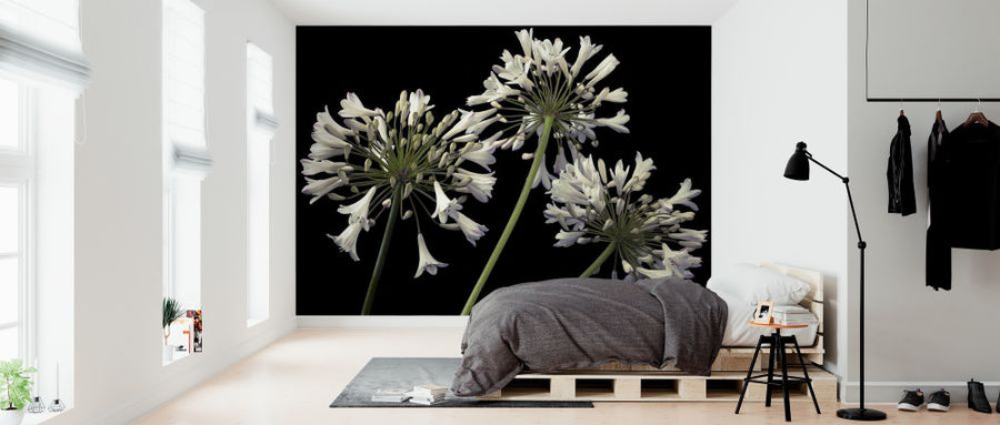 PHOTOWALL / African Lily - Black (e321017)