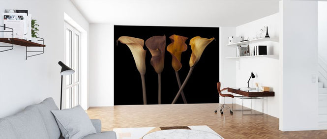 PHOTOWALL / Calla Lilies (e321019)