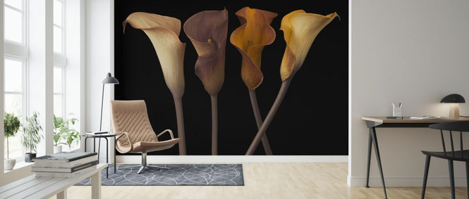 PHOTOWALL / Calla Lilies (e321019)