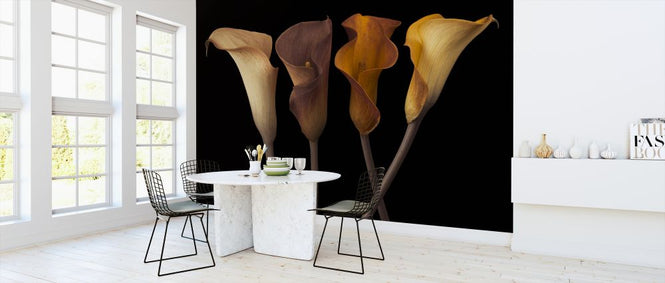 PHOTOWALL / Calla Lilies (e321019)