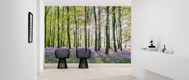 PHOTOWALL / Bluebells (e321031)
